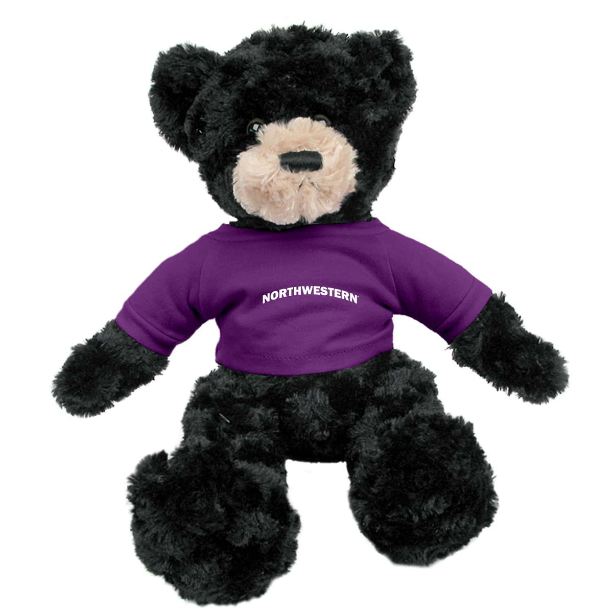 Northwestern University Wildcats Dexter Black Teddy Bear Wearing Purple "Northwestern" Tee Shirt