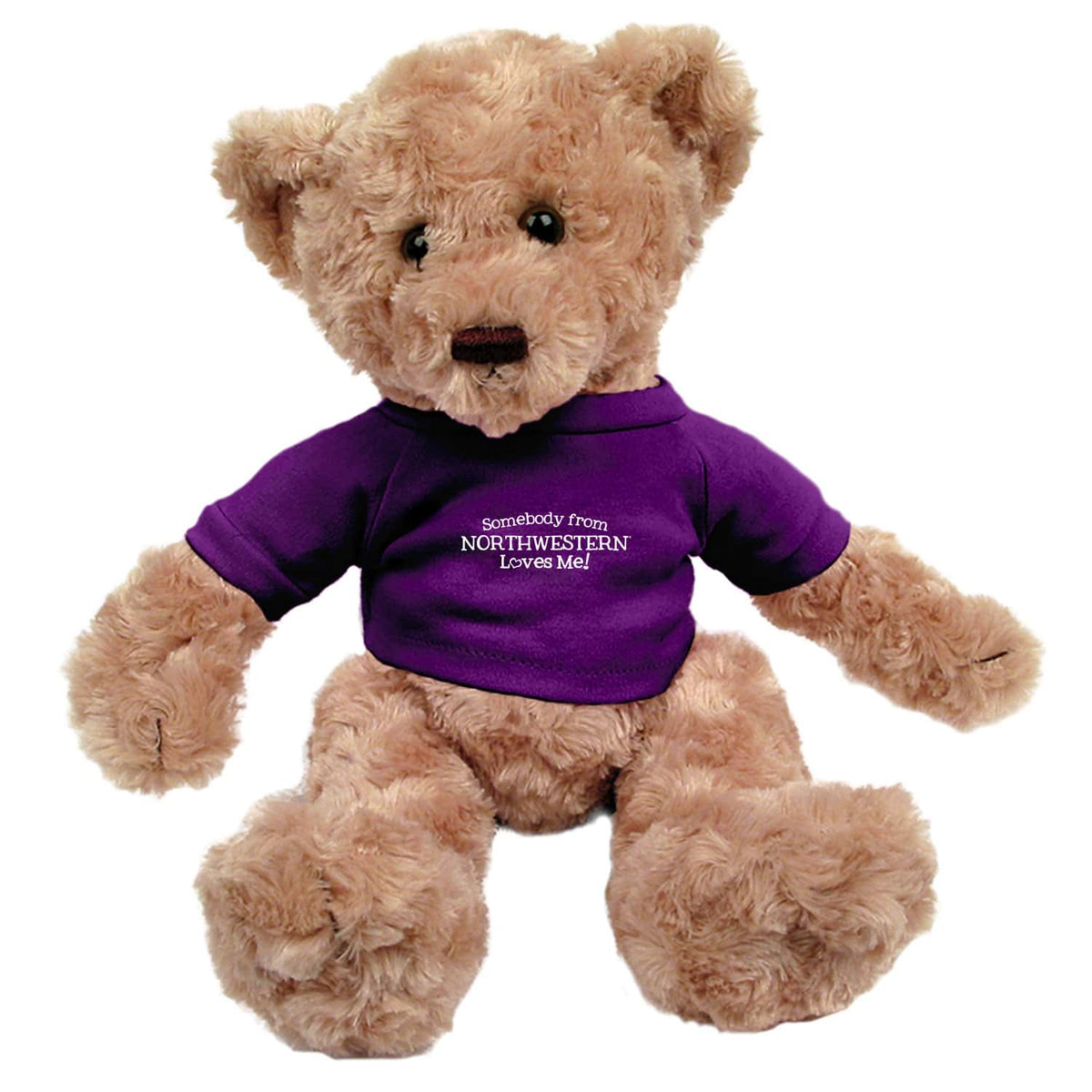 Northwestern University Wildcats Dexter Tan Teddy Bear Wearing Purple "Somebody from Northwestern Loves Me" Tee Shirt