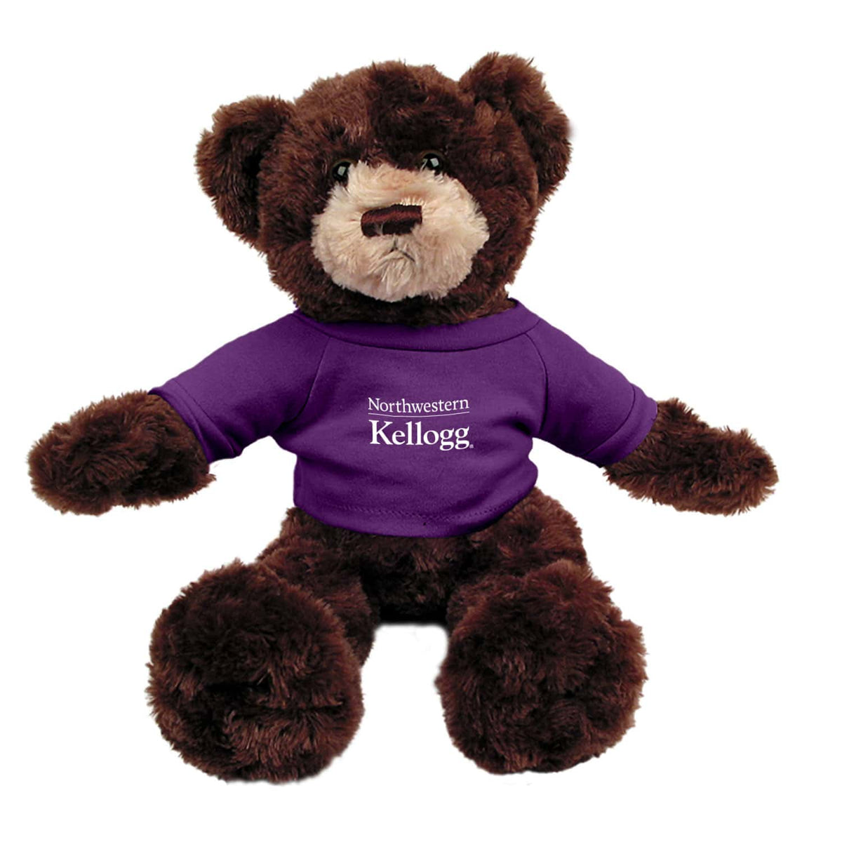 Northwestern I Kellogg Dexter Brown Bear Wearing Purple "Northwestern I Kellogg" Tee Shirt