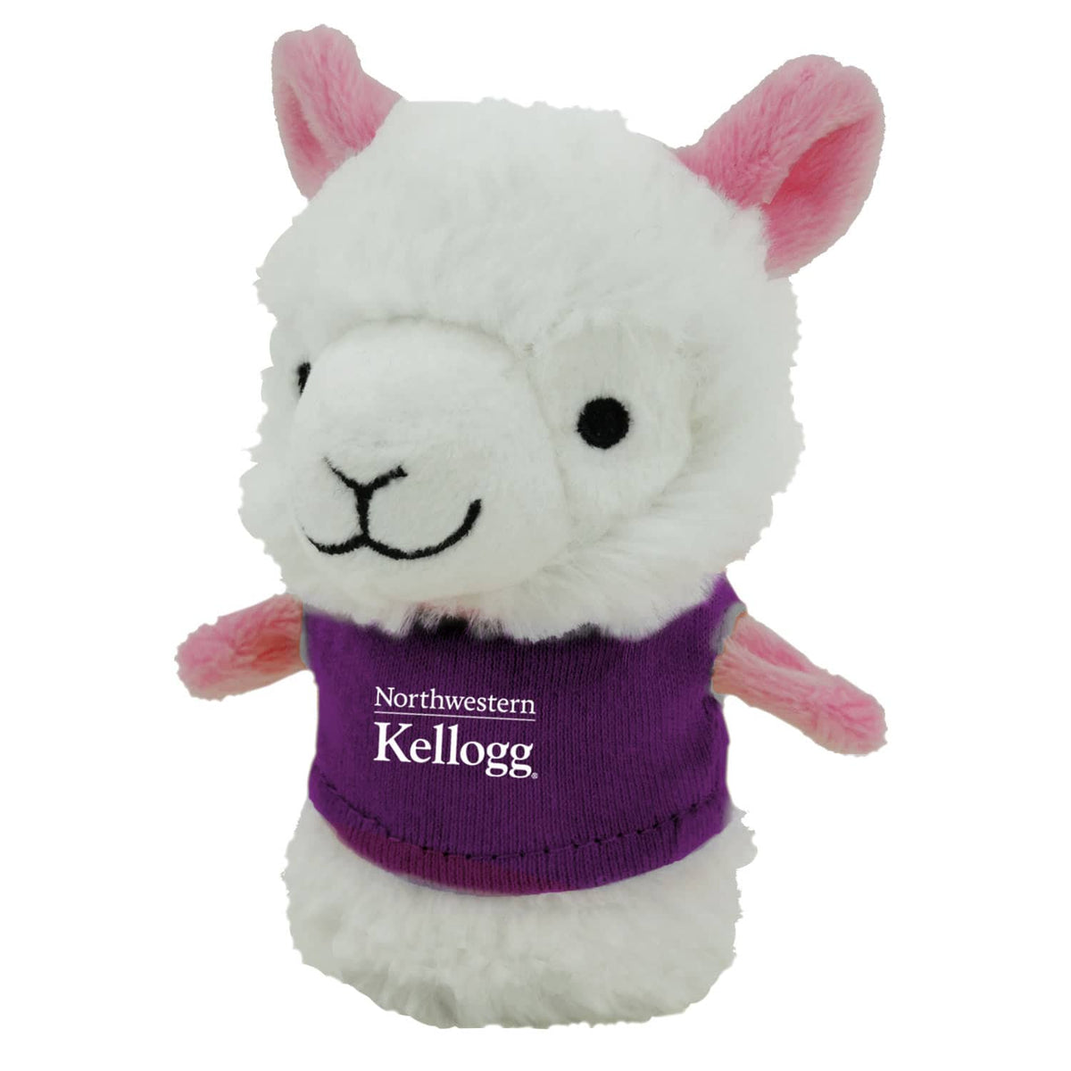 Northwestern I Kellogg Wild Bunch Shorties Plush Llama Wearing Purple "Northwestern I Kellogg" Tee Shirt