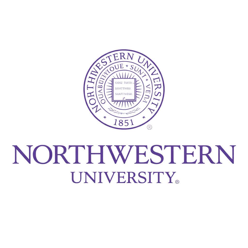 Northwestern University Wildcats Static Cling Inside Application Decal with Seal Design 4"X6.5"