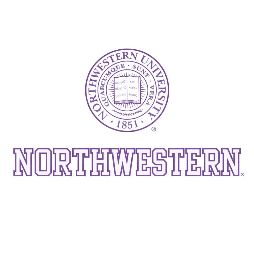 Northwestern University Wildcats Static Cling Inside Application Decal with Seal Design 3.5"X7.5"