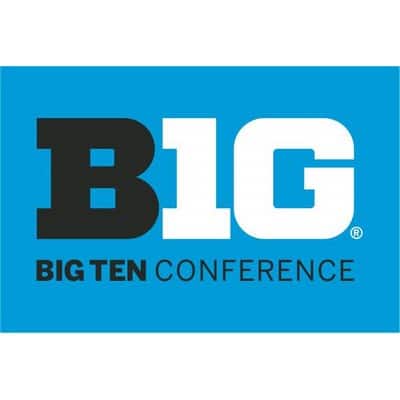 Northwestern University Wildcats Big Ten Conference 2'X3' Flag
