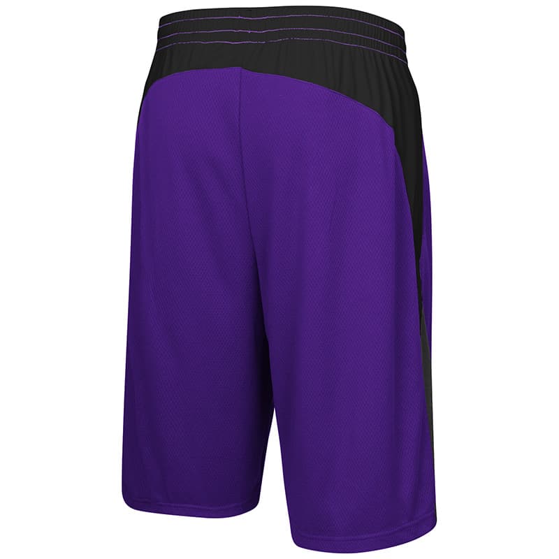 Northwestern University Wildcats Colosseum Purple / Black / Charcoal Youth Hall Of Fame Short with Stylized N Design-Back