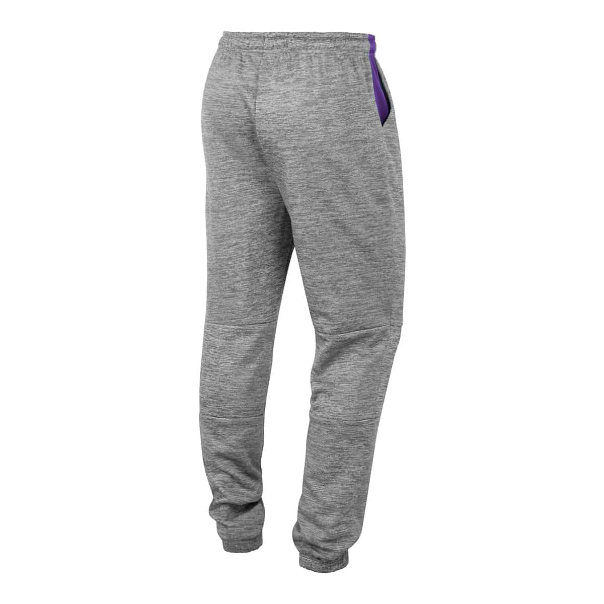 Northwestern University Wildcats Colosseum Men's Worlds To Conquer Pant - Back Side