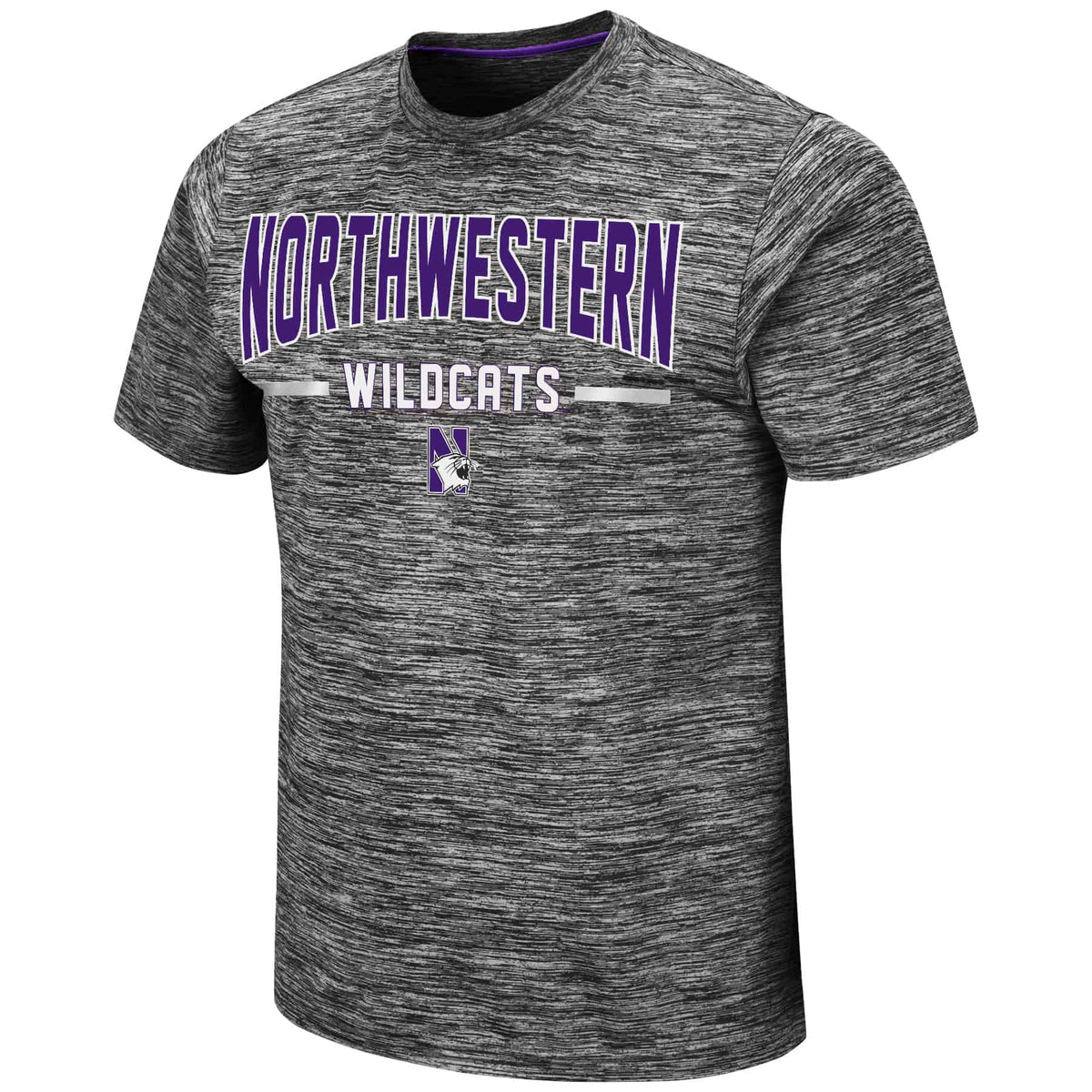 Northwestern University Wildcats Colosseum Men's Born N Raised S/S Tee