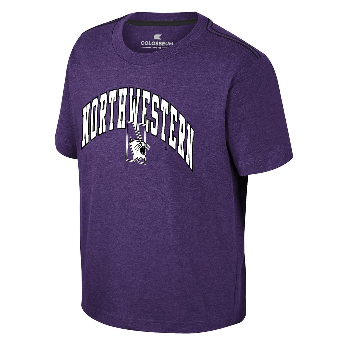 Northwestern University Wildcats Colosseum Youth Hawkins Purple S/S Tee with Arch Northwestern Over N-cat Design