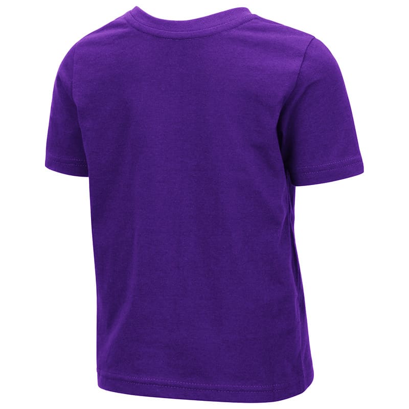 Northwestern University Wildcats Colosseum Toddler Purple Hisskill S/S T-Shirt with Boxed Northwestern & N-Cat Design -back