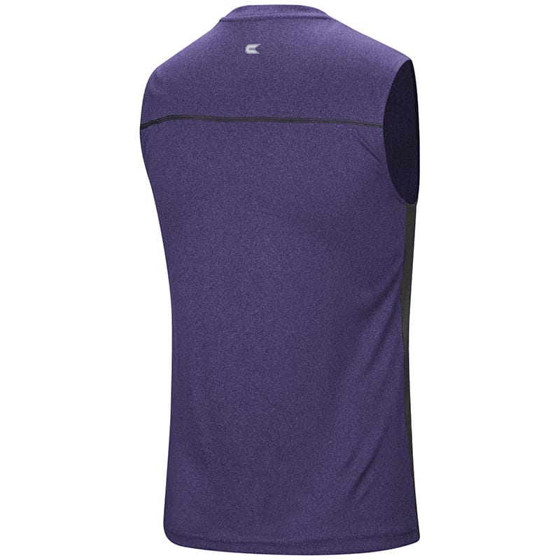 Northwestern University Wildcats Colosseum Men's Purple Hanging Curveball Sleeveless T-Shirt with Stylized N Design-Back