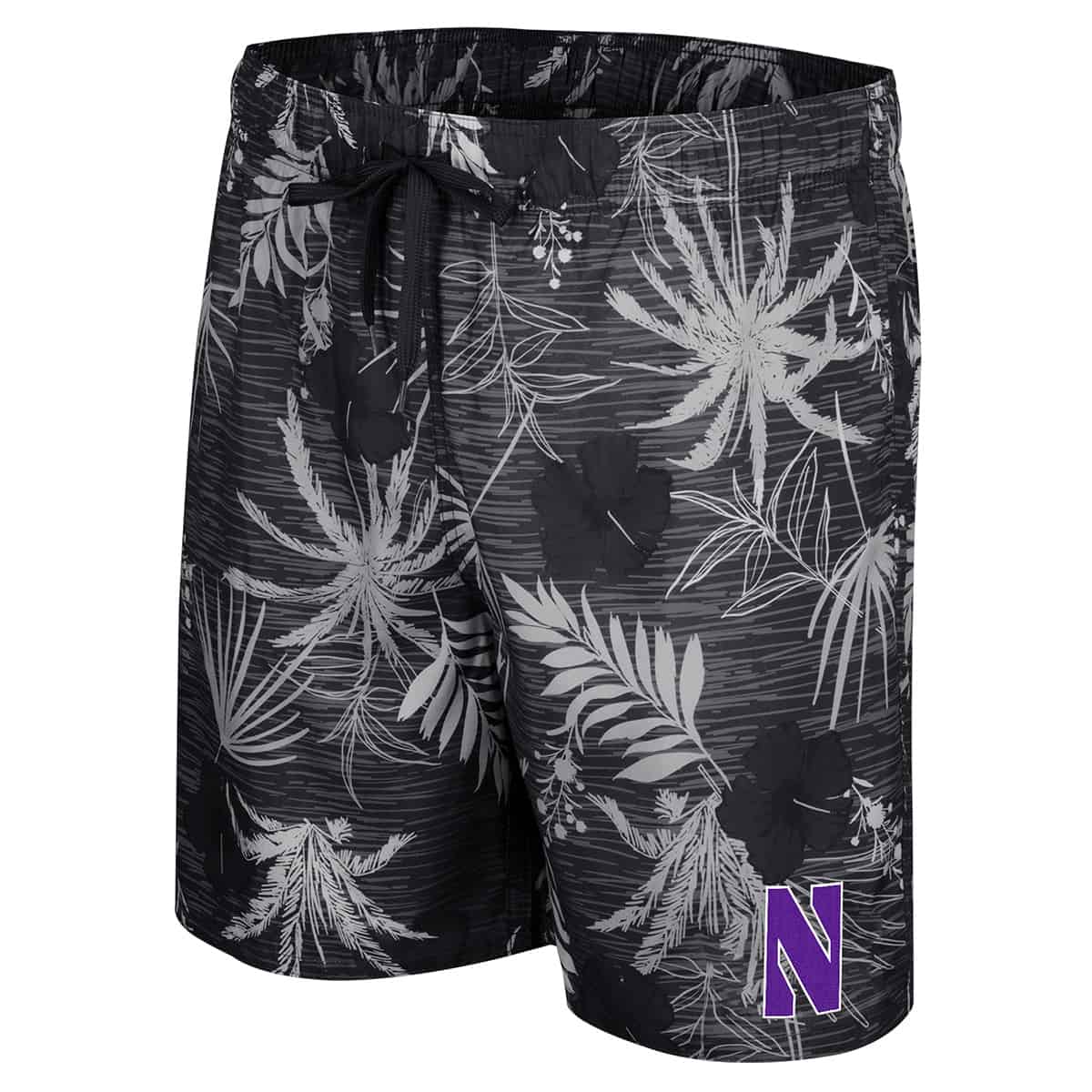 Northwestern University Wildcats Men's Colosseum Black What Else Is New? Swim Short