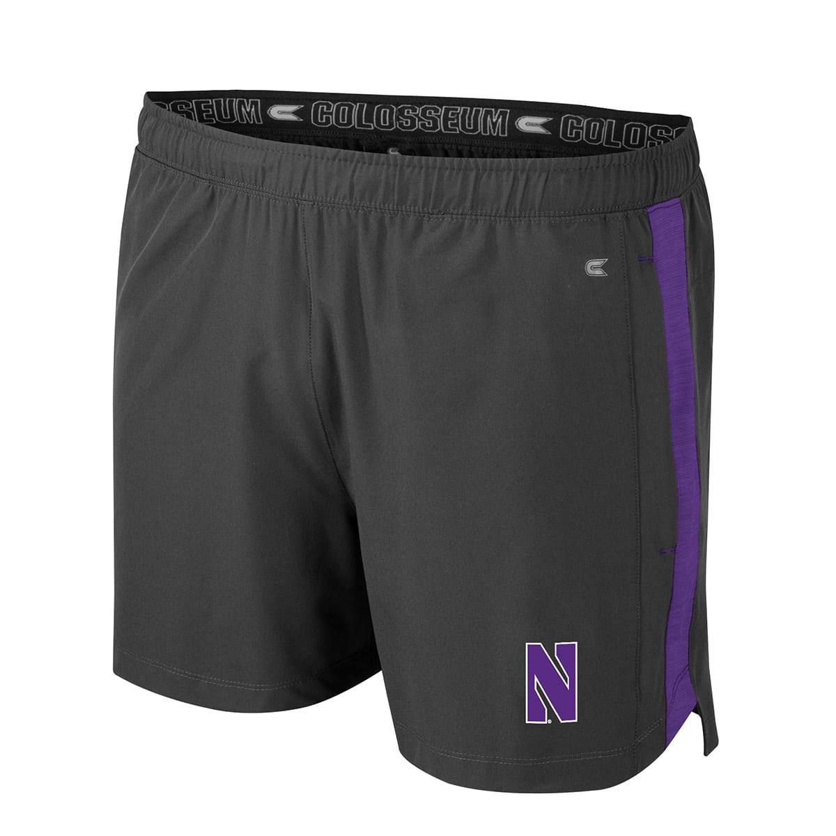 Northwestern University Wildcats Colosseum Men's Langmore Shorts