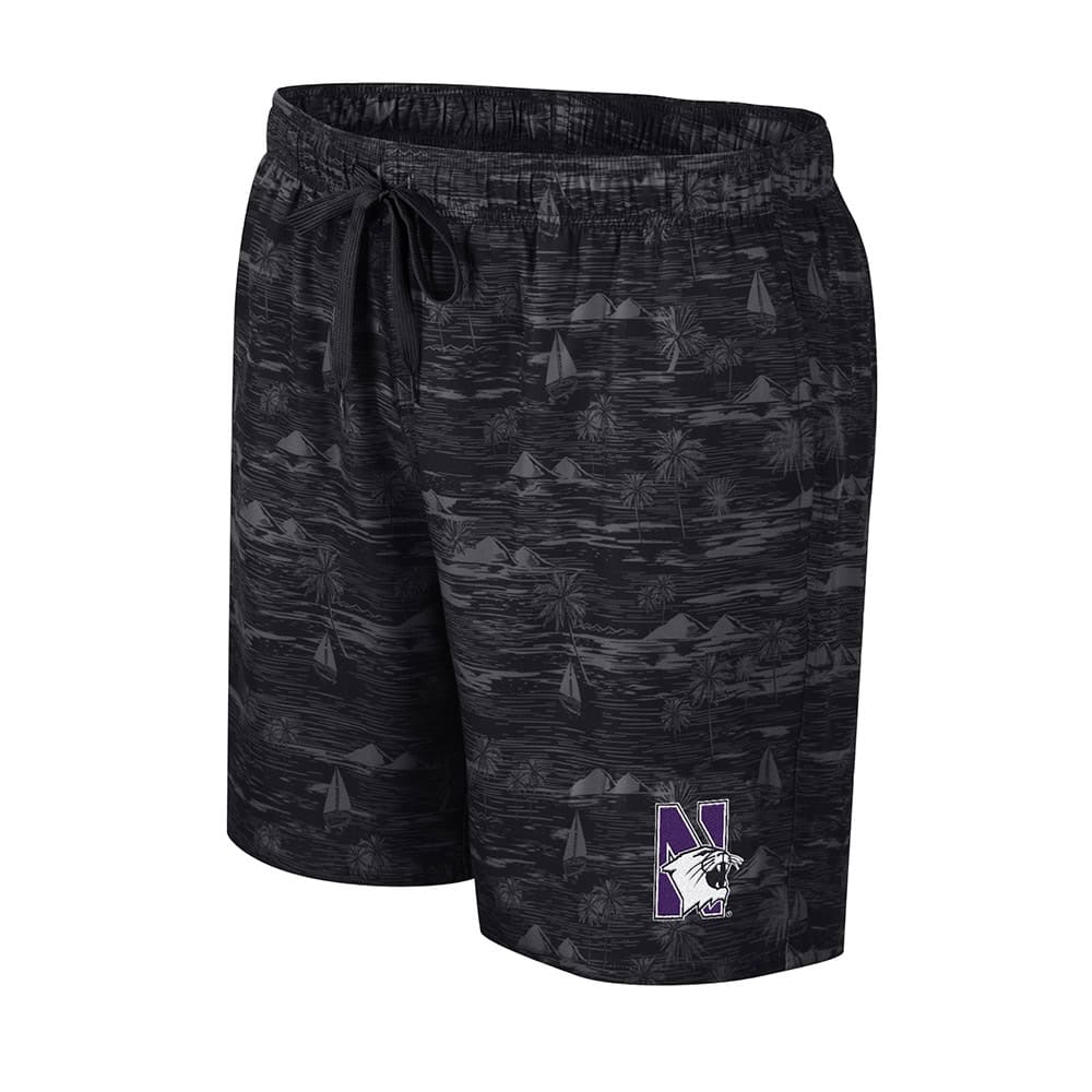 Northwestern University Wildcats Colosseum Men's Ozark Black Swim Short