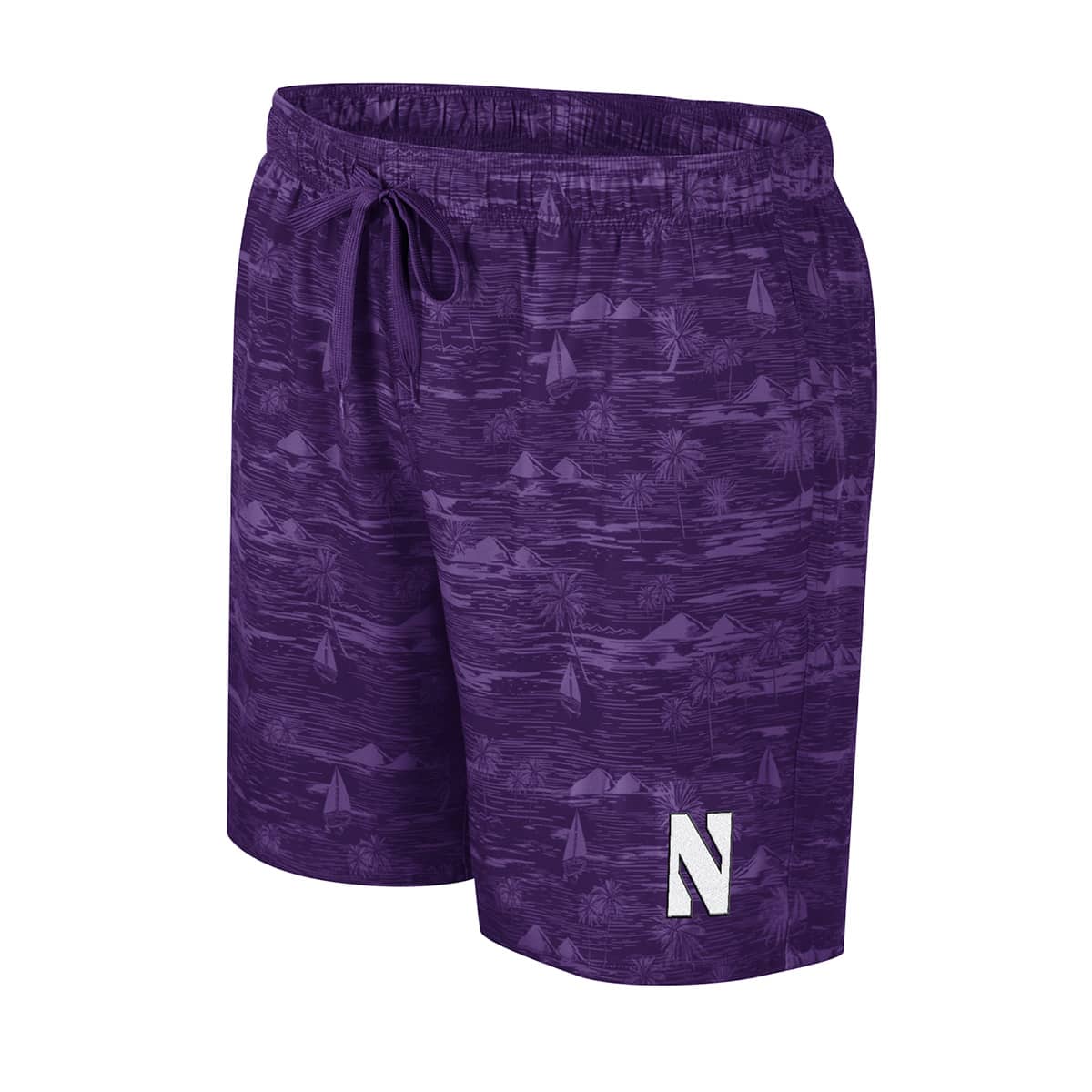 Northwestern University Wildcats Colosseum Men's Ozark Purple Swim Short