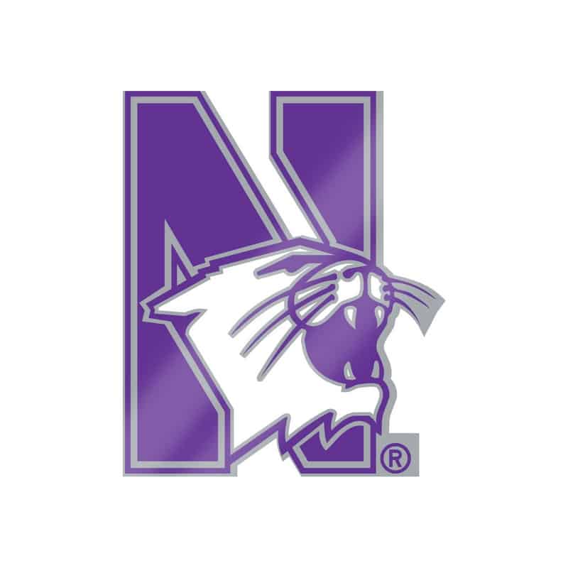 Northwestern Wildcats Silver Tone Brass Lapel Pin with N-cat Design