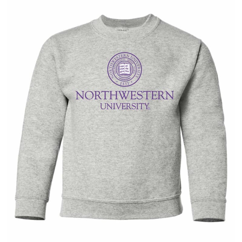 Northwestern Wildcats Men's Light Grey Crewneck Sweatshirt with Northwestern University Seal Design