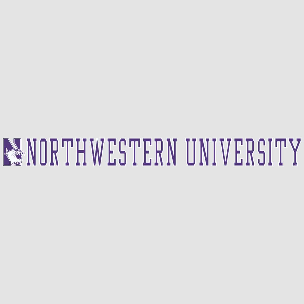 Northwestern University Wildcats N-cat Northwestern University Block Letters Long Outside Application Decal-1