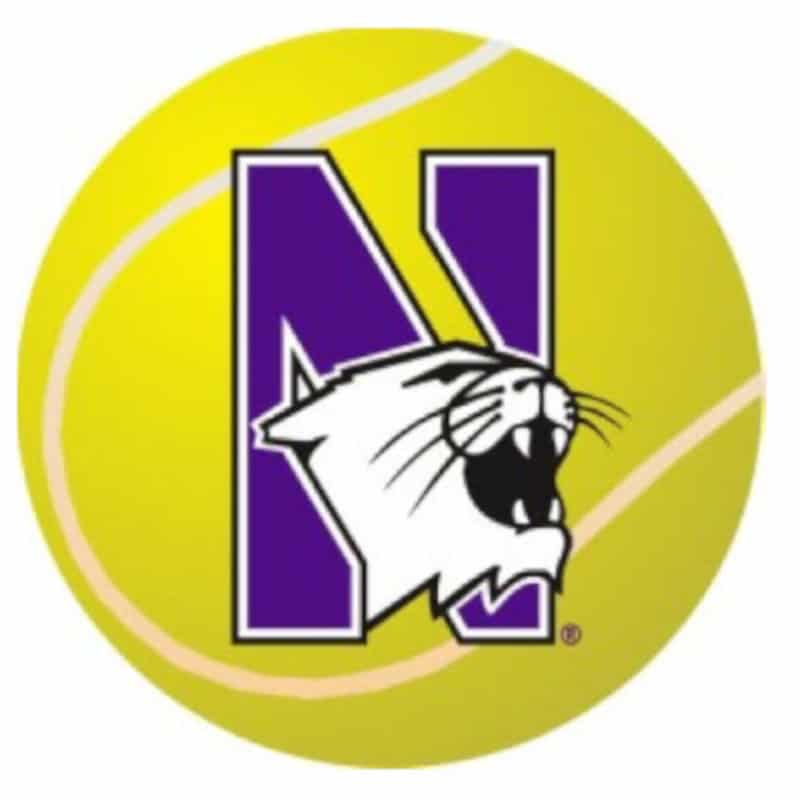 Northwestern Wildcats Outside Application Decal with N-cat on a Full Color Tennis Ball Image 6" x 6"