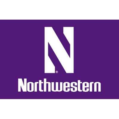 Northwestern University Wildcats Purple Car Flag with White N & Northwestern 11"X16"