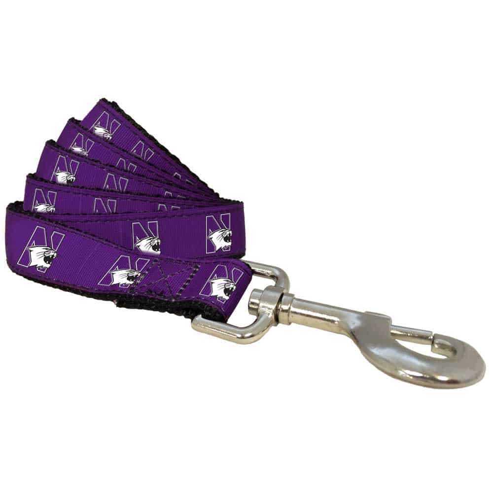 Northwestern University Wildcats Dog Leash 1" Thick
