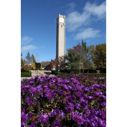 Northwestern Wildcats Postcard Clock Tower at Rebecca Crown Center NU0013