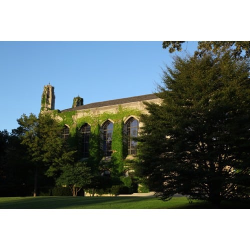 Northwestern Wildcats Postcard Deering Library NU0024