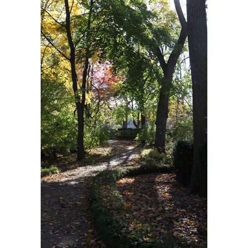 Northwestern Wildcats Postcard Pathway on Northwestern University Campus NU0042
