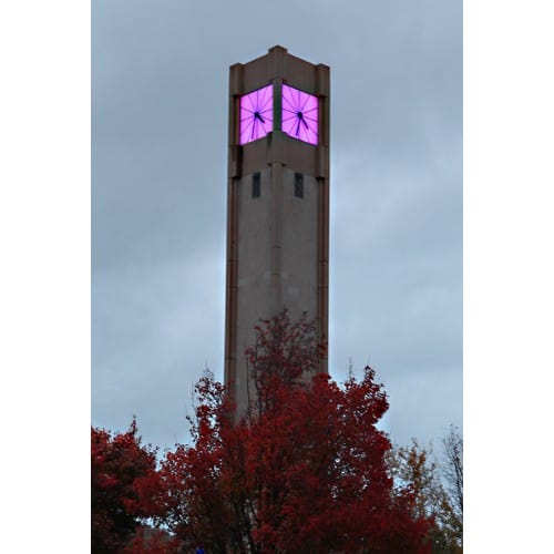 Northwestern Wildcats Postcard Clock Tower at Rebecca Crown Center Celebrating Victory in Purple NU0054