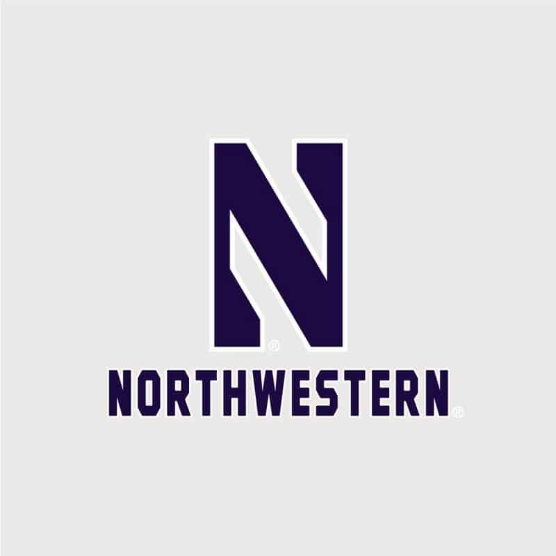 Northwestern University Wildcats Champion Men's Silver Grey Super Heavy Weight Reverse Weave Jogger Pant With Stylized N over Northwestern Design