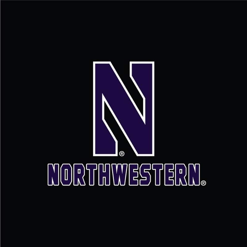 Northwestern University Wildcats Champion Men's Black Super Heavy Weight Reverse Weave Jogger Pant With Stylized N over Northwestern Design -2