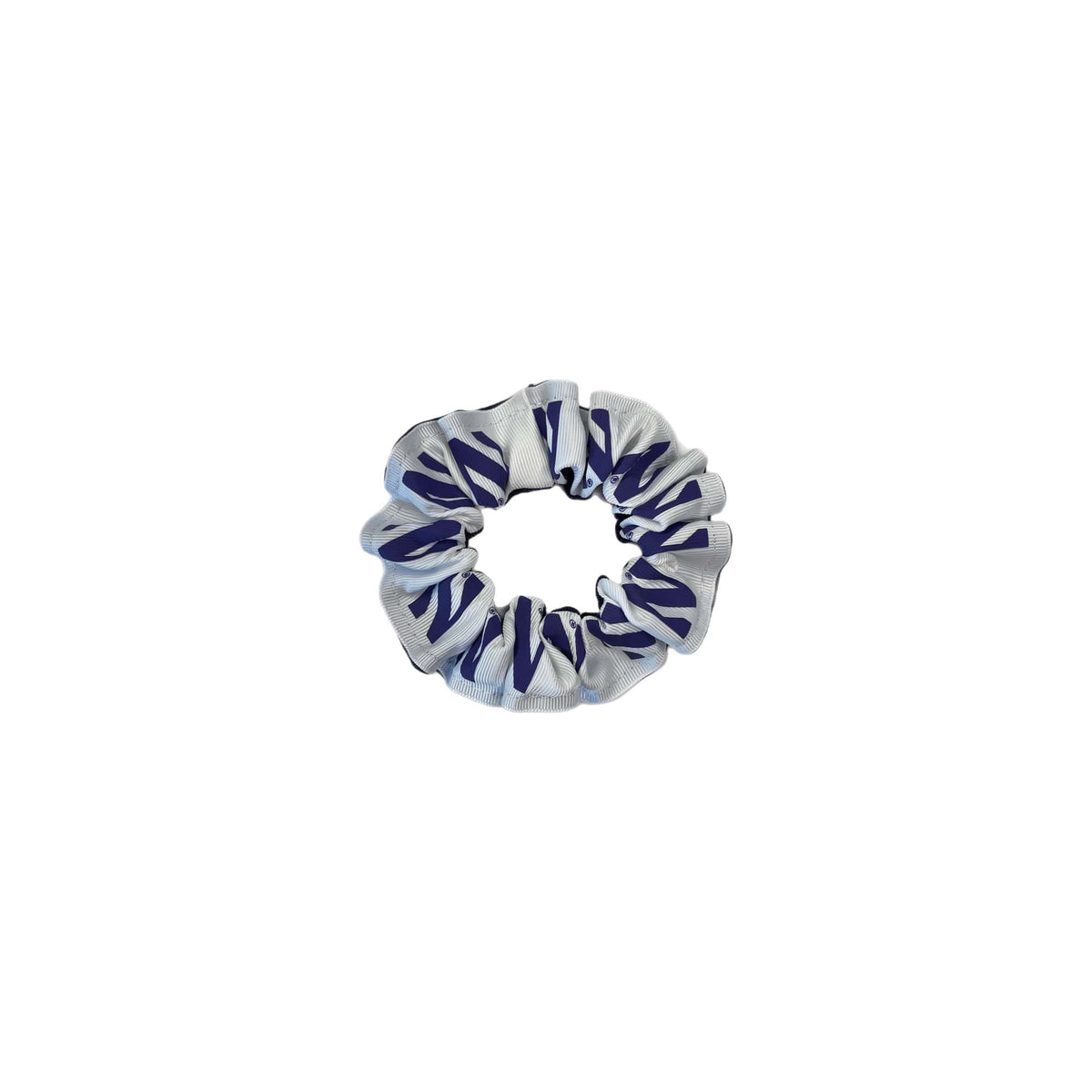 Northwestern University Wildcats Ribbon Pony
