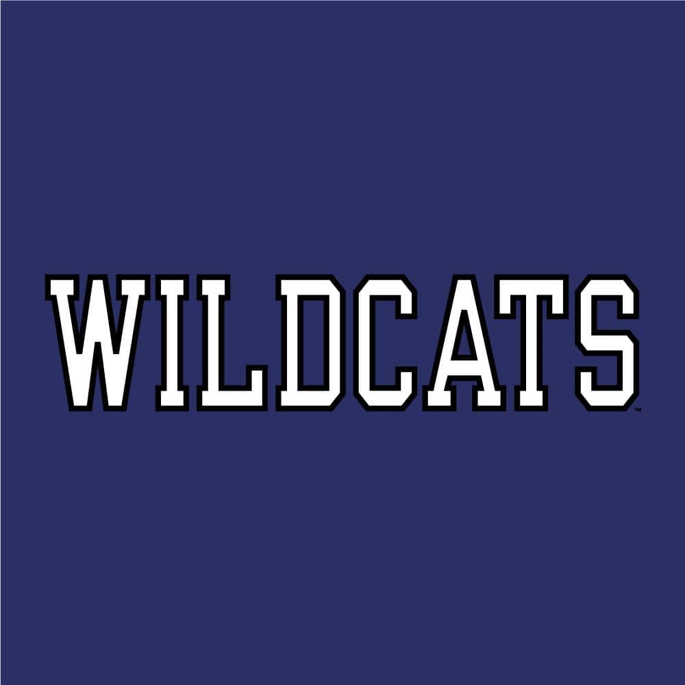 Northwestern University Wildcats Champion Men's Heather/Purple Pullover Hockey Hooded Sweatshirt with Diagonal & N-Cat Design -4