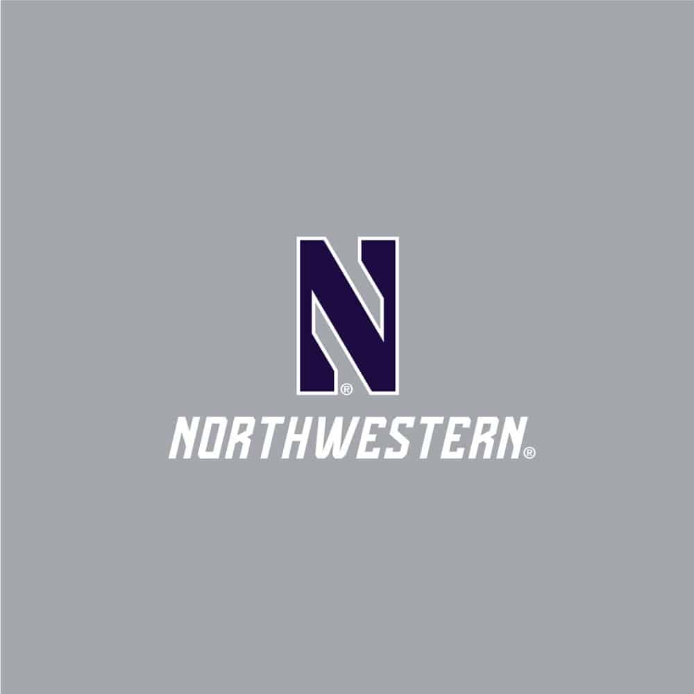 Northwestern University Wildcats Men's Under Armour Threadborne Ridge Fleece Grey Jogger Pants