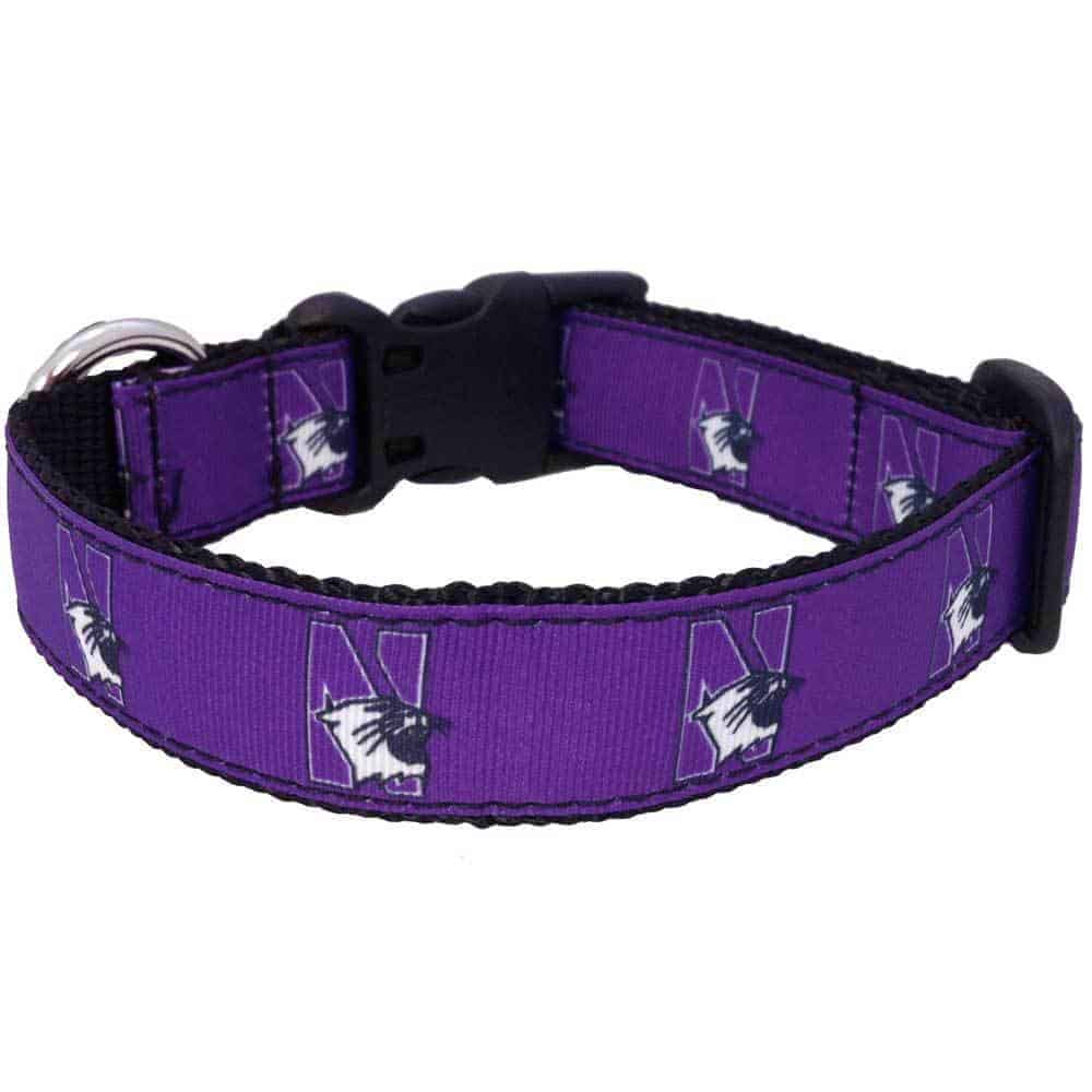 Northwestern University Wildcats Dog Collar