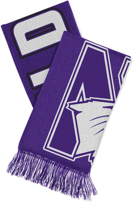 Northwestern Wildcats Adult Reversible Knit Scarf