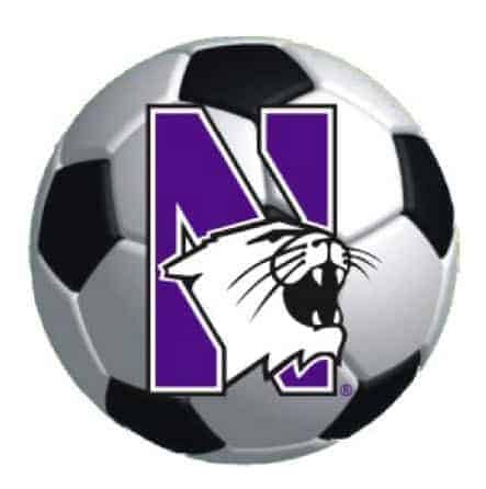 Northwestern Wildcats Outside Application Decal with N-cat on a Full Color Soccer Ball Image 6" x 6"