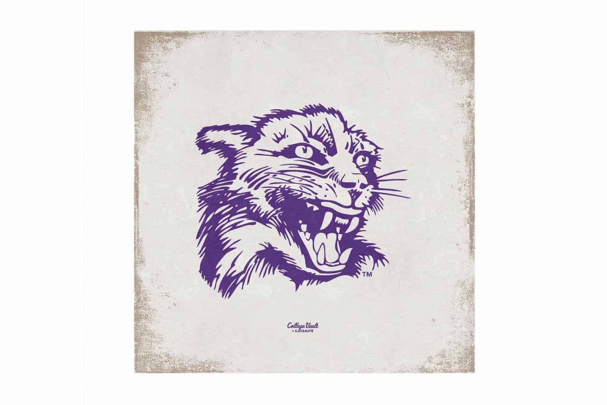 Northwestern Wildcats Square Vintage Canvas Wall Art with Vintage Wildcat Logo 14"X14"