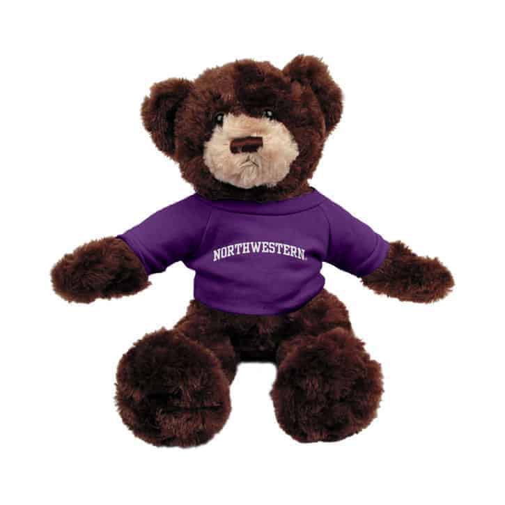 Northwestern Wildcats Brown Dexter Wearing Purple "Northwestern" Tee Shirt