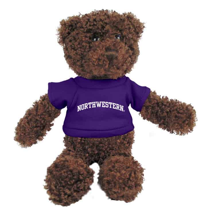 Northwestern Wildcats Teddy Bear Chocolate Tropical Wearing Purple "Northwestern" Tee Shirt