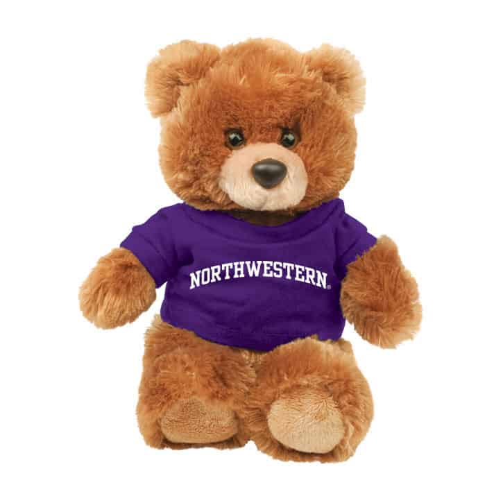 Northwestern Wildcats Teddy Bear Brown Buster Wearing Purple "Northwestern" Tee Shirt