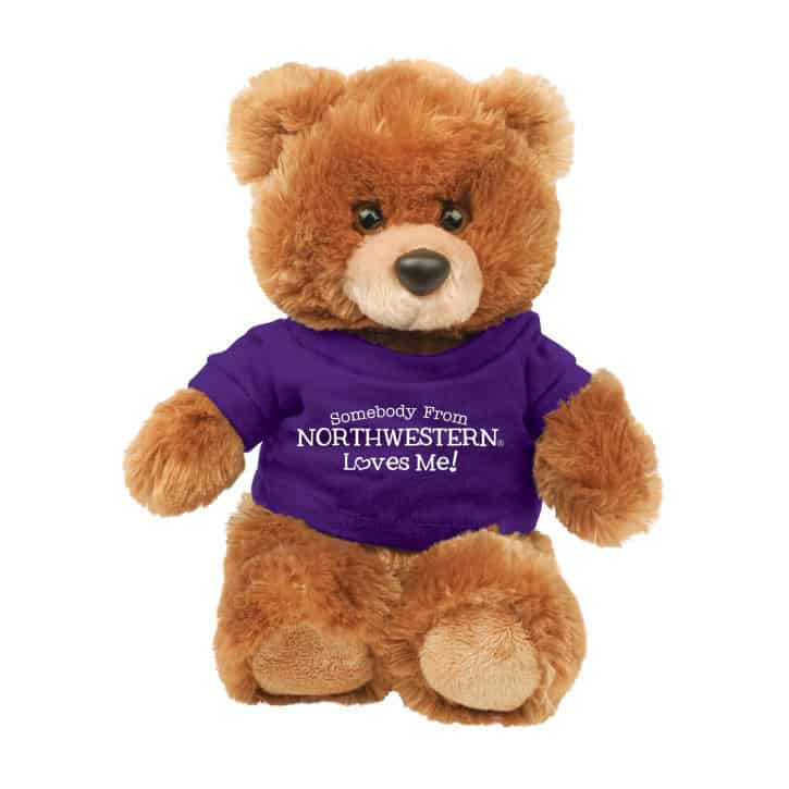 Northwestern Wildcats Teddy Bear Brown Buster Wearing Purple "Somebody From Northwestern Loves Me" Tee Shirt