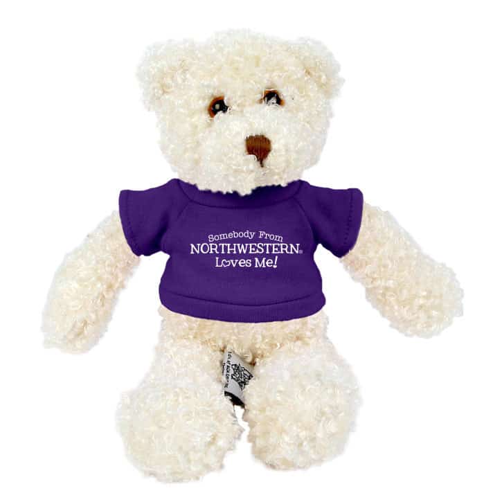 Northwestern Wildcats Teddy Bear Tropical Vanilla Wearing Purple "Somebody From Northwestern Loves Me" Tee Shirt