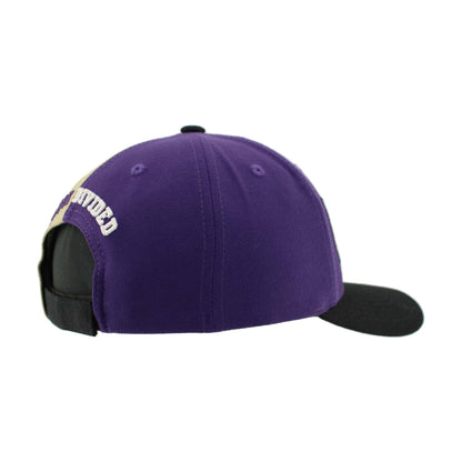 Northwestern University Wildcats House Divided Hat with University of Washington Huskies