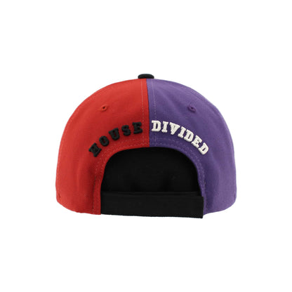 Northwestern University Wildcats House Divided Hat with USC Trojans-Back1