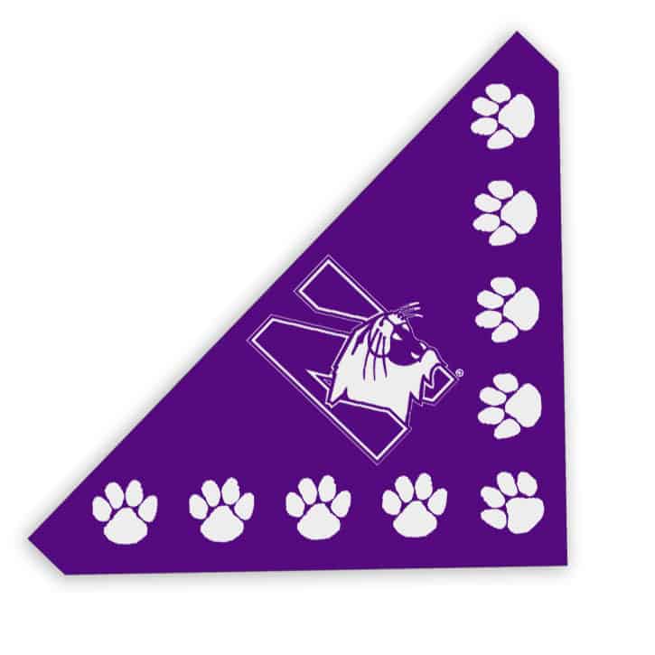 Northwestern University Wildcats Pet Bandana 21"X21"X30"
