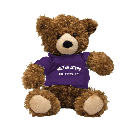Northwestern University Wildcats Mocha Junior Teddy Bear Wearing Purple "Northwestern University" Tee Shirt