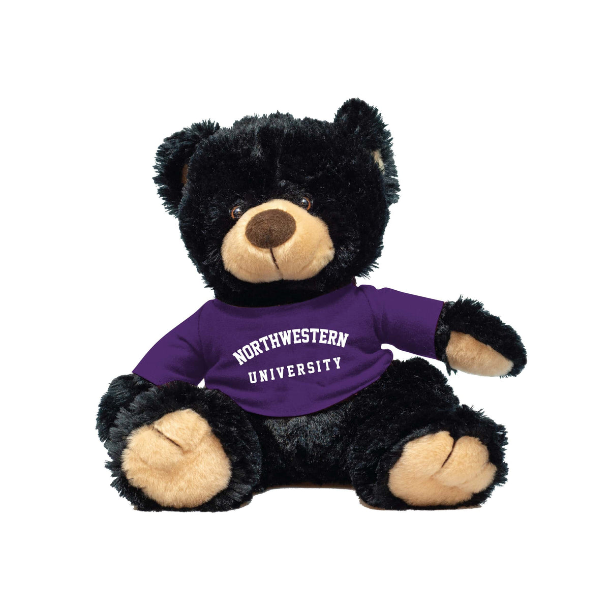 Northwestern University Wildcats Black Noah Teddy Bear Wearing Purple "Northwestern University" Tee Shirt