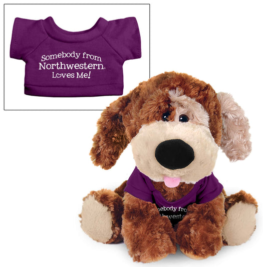 Northwestern University Wildcats Luke The Plush Dog Wearing Purple "Somebody from Northwestern Loves me" Tee Shirt