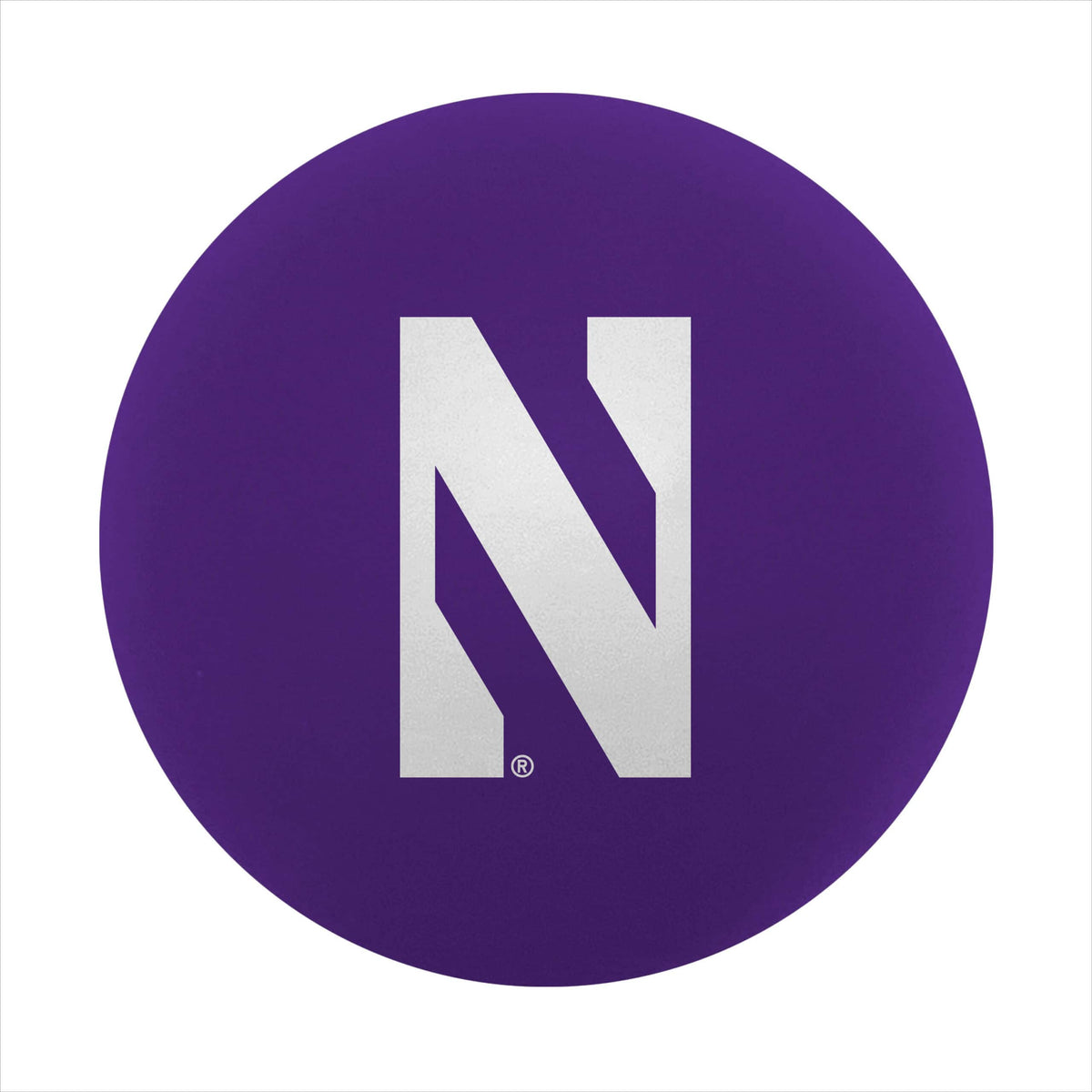 Northwestern University Wildcats High Bounce Ball