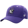 Northwestern University Wildcats Top Of The World Constructed Purple Velcroback Hat with The N-Cat Design