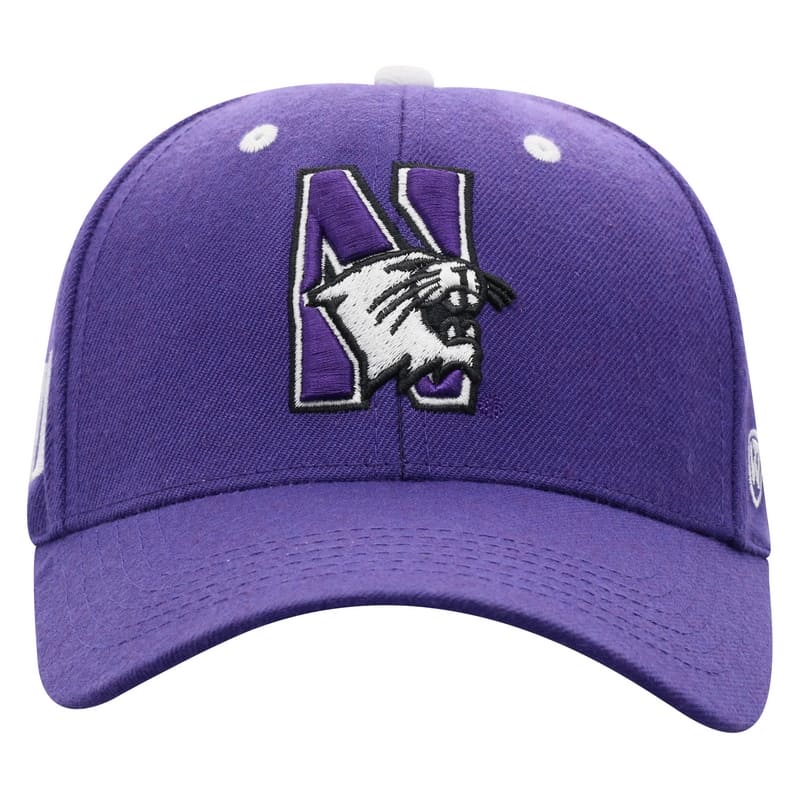 Northwestern University Wildcats Top Of The World Constructed Purple Velcroback Hat with The N-Cat Design